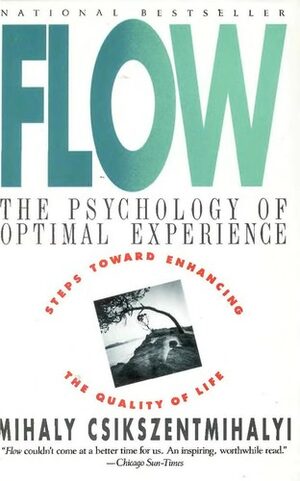 Flow: The Psychology of Optimal Experience